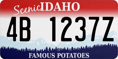 ID license plate 4B1237Z