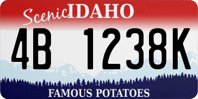 ID license plate 4B1238K