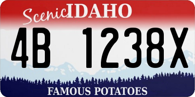 ID license plate 4B1238X