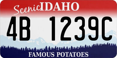 ID license plate 4B1239C