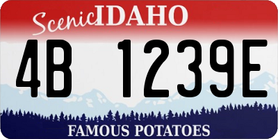 ID license plate 4B1239E