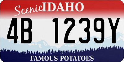 ID license plate 4B1239Y