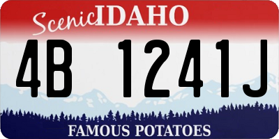 ID license plate 4B1241J
