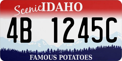 ID license plate 4B1245C