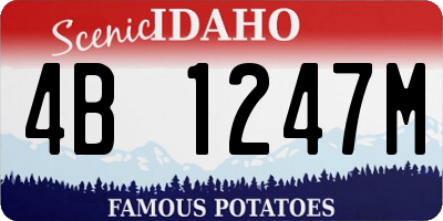 ID license plate 4B1247M