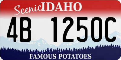 ID license plate 4B1250C