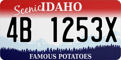 ID license plate 4B1253X