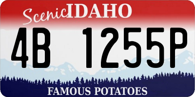 ID license plate 4B1255P