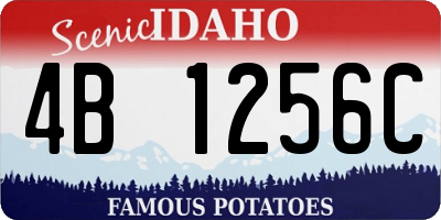 ID license plate 4B1256C