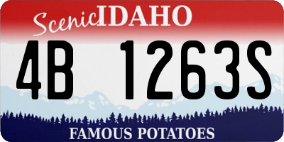 ID license plate 4B1263S