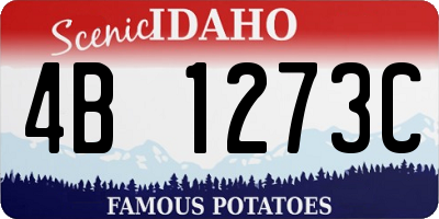 ID license plate 4B1273C