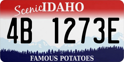 ID license plate 4B1273E