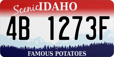 ID license plate 4B1273F