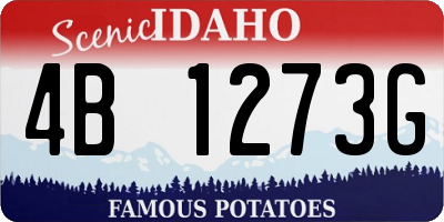 ID license plate 4B1273G