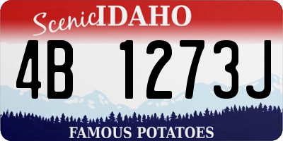 ID license plate 4B1273J