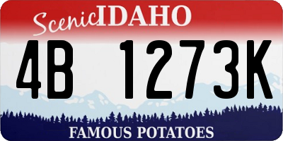 ID license plate 4B1273K