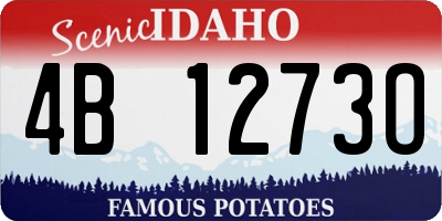 ID license plate 4B1273O