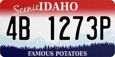 ID license plate 4B1273P