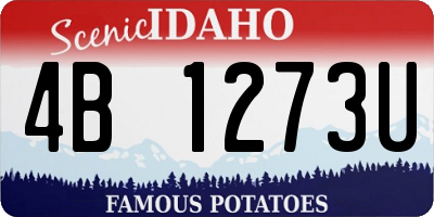 ID license plate 4B1273U