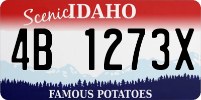 ID license plate 4B1273X