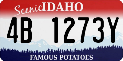 ID license plate 4B1273Y