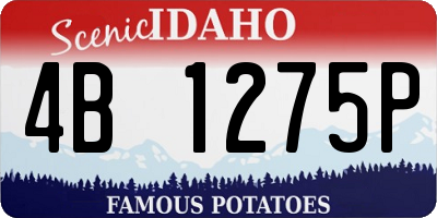 ID license plate 4B1275P