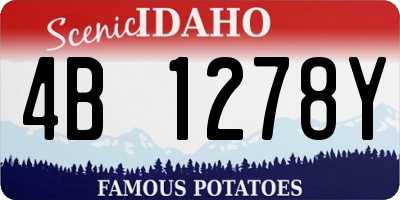 ID license plate 4B1278Y