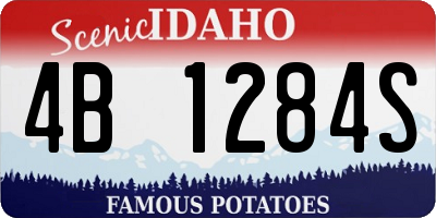 ID license plate 4B1284S