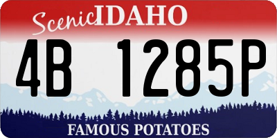ID license plate 4B1285P