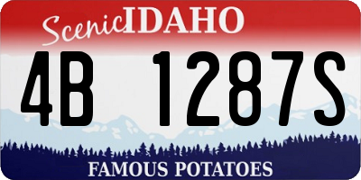 ID license plate 4B1287S