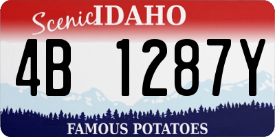 ID license plate 4B1287Y