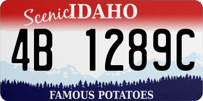 ID license plate 4B1289C