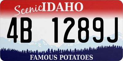 ID license plate 4B1289J