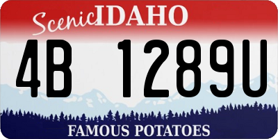ID license plate 4B1289U