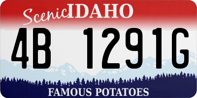 ID license plate 4B1291G