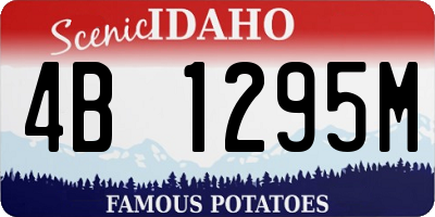 ID license plate 4B1295M