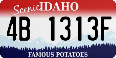 ID license plate 4B1313F