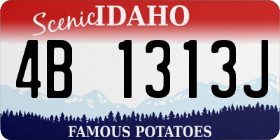ID license plate 4B1313J