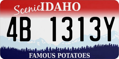 ID license plate 4B1313Y