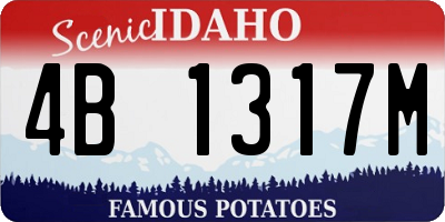 ID license plate 4B1317M