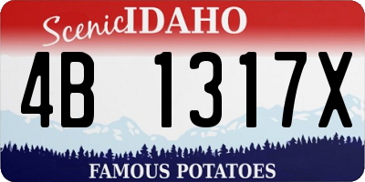 ID license plate 4B1317X
