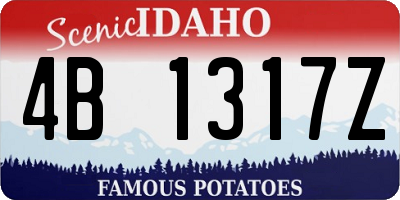 ID license plate 4B1317Z