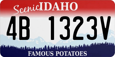 ID license plate 4B1323V