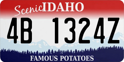 ID license plate 4B1324Z