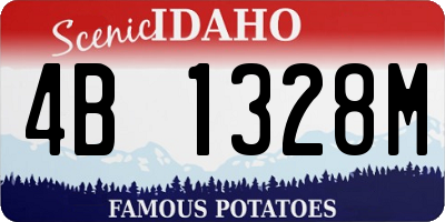 ID license plate 4B1328M