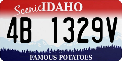 ID license plate 4B1329V
