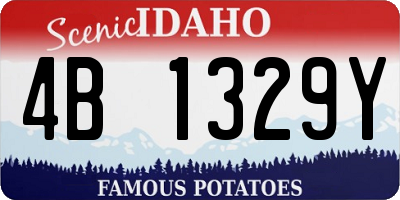 ID license plate 4B1329Y