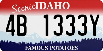 ID license plate 4B1333Y