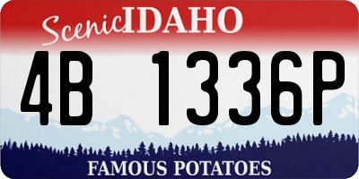 ID license plate 4B1336P