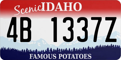 ID license plate 4B1337Z